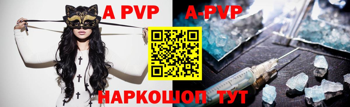 Alfa_PVP СК КРИС Прокопьевск