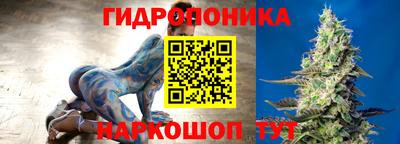 стаф Нарткала