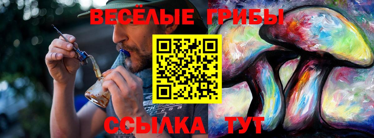 Прокопьевск  Галлюциногенные грибы Psilocybine cubensis  Вход с VPN 